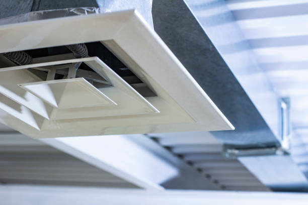 Best Air Duct Mold Removal  in West Park, CA